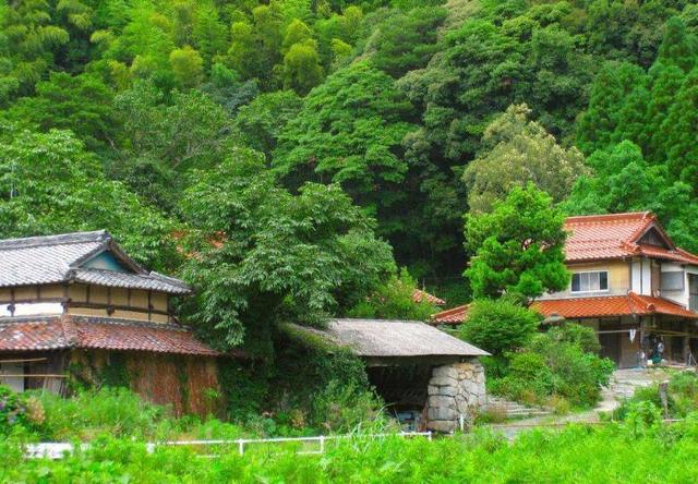 兩層的小別墅 兩層的小別墅