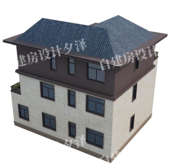 農村的自建別墅 農村的自建別墅