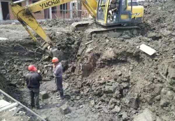 3.jpg 3.jpg