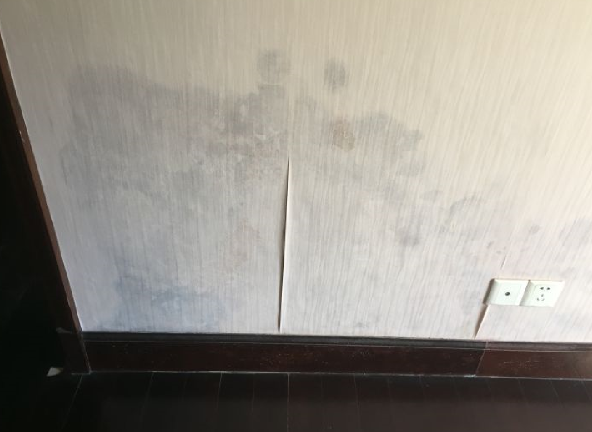 墻上發(fā)霉怎么處理.png 墻上發(fā)霉怎么處理.png