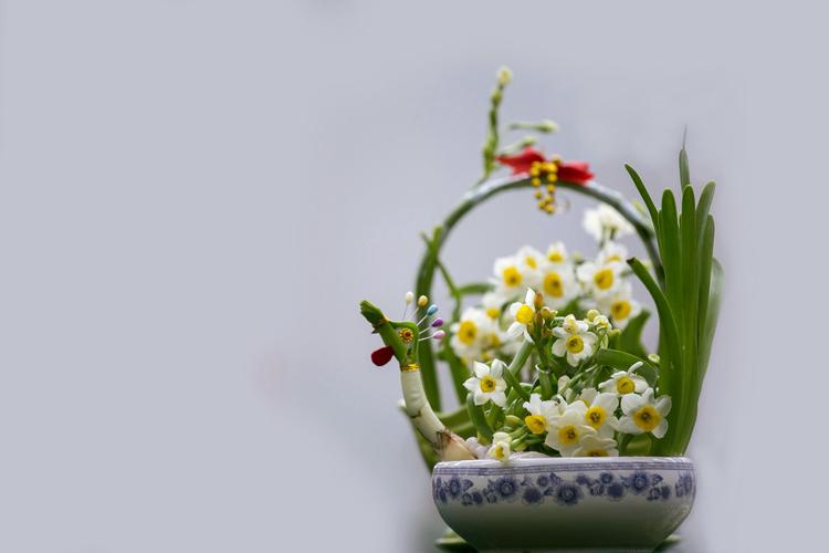 水仙花.jpeg 水仙花.jpeg