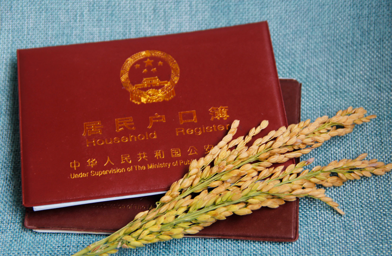 ڡɳD(zhun)l(xing)__lľͿwش (4).png