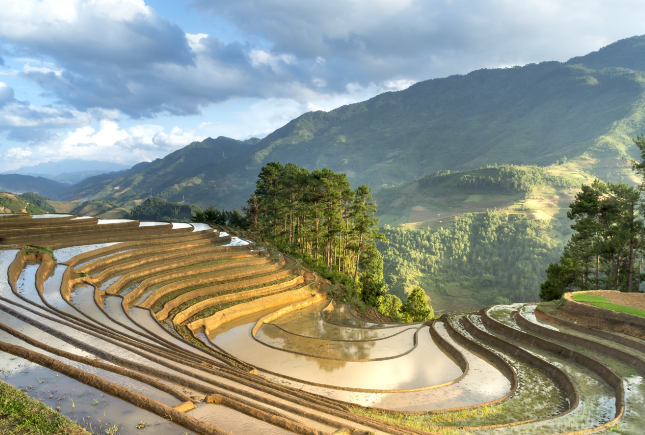 戶籍可以變更嗎.png 戶籍可以變更嗎.png