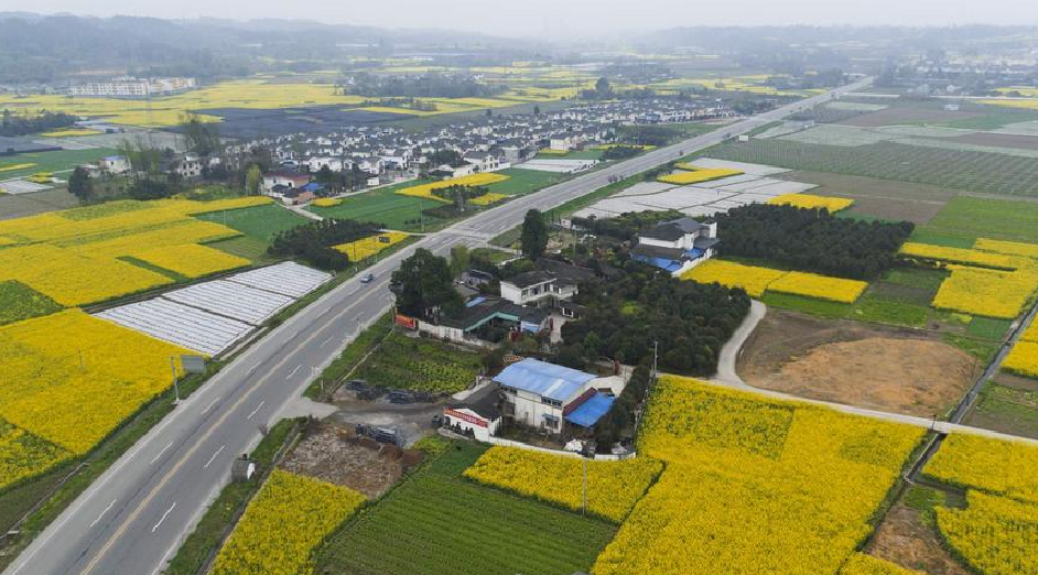 農(nóng)村這三種違建可不拆 (2).png 農(nóng)村這三種違建可不拆 (2).png