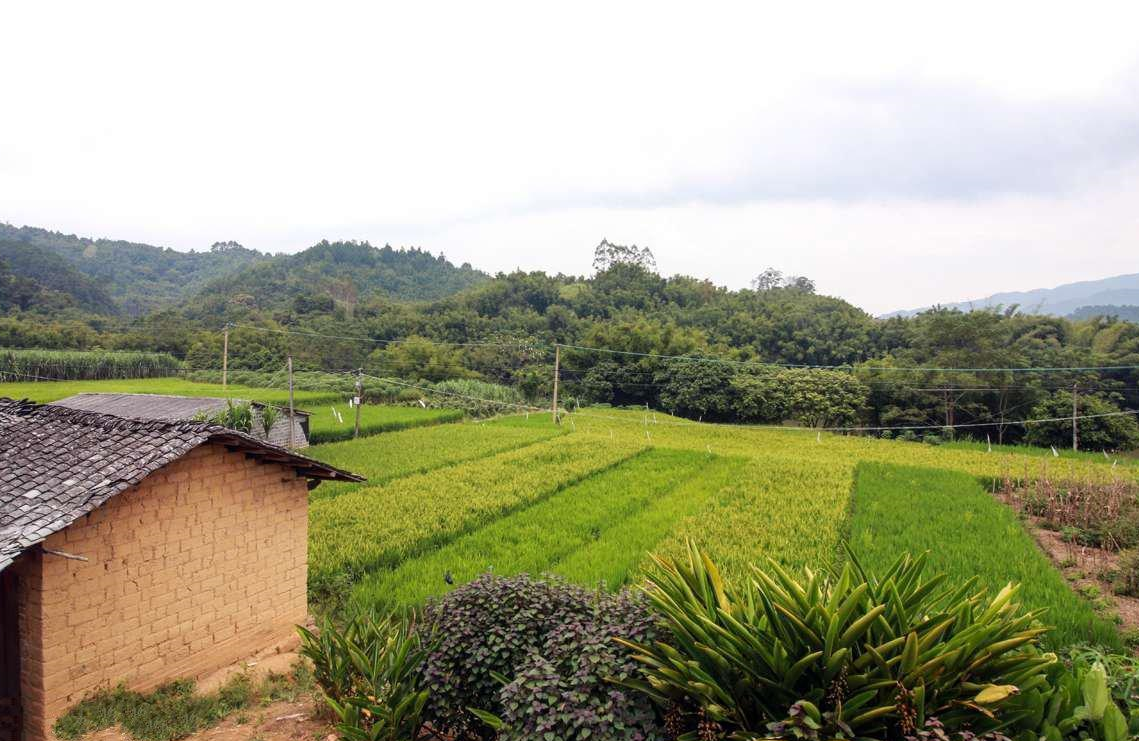 農村土地買賣合同是否有效 (2).png 農村土地買賣合同是否有效 (2).png