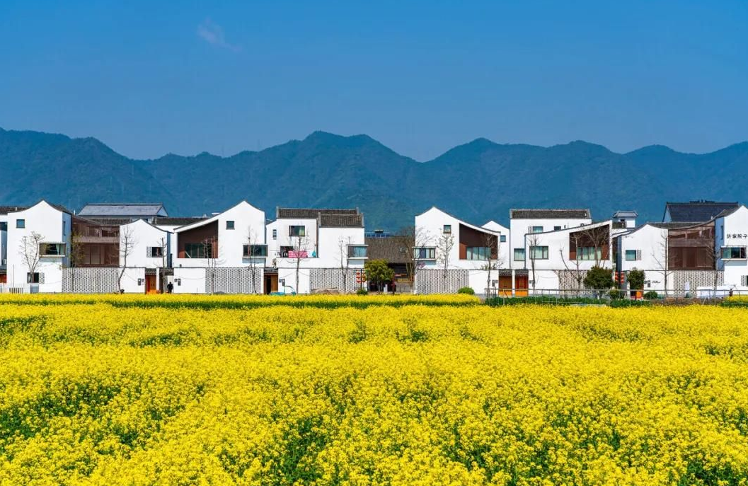 農村土地糾紛找哪個部門解決.png 農村土地糾紛找哪個部門解決.png