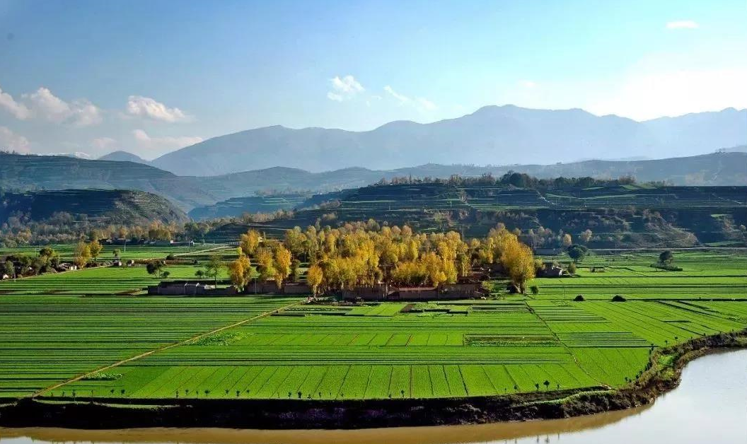沒有進(jìn)行確權(quán)的土地怎么辦?.png 沒有進(jìn)行確權(quán)的土地怎么辦?.png