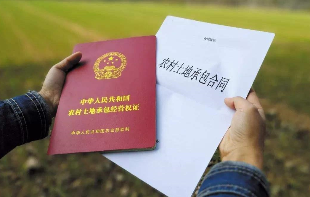 怎么進(jìn)行農(nóng)村土地確權(quán)?.png 怎么進(jìn)行農(nóng)村土地確權(quán)?.png