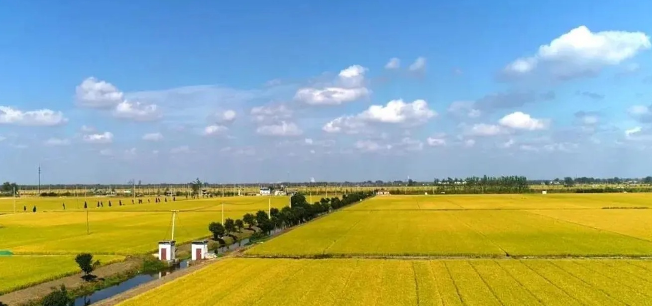 土地確權(quán)時(shí),有個(gè)“4確3不確”的說法 (2).png 土地確權(quán)時(shí),有個(gè)“4確3不確”的說法 (2).png