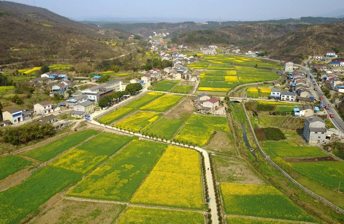 土地確權(quán)和戶口有關(guān)系嗎 (2).png 土地確權(quán)和戶口有關(guān)系嗎 (2).png