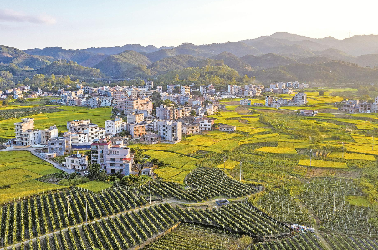 國家土地性質分類標準.png 國家土地性質分類標準.png