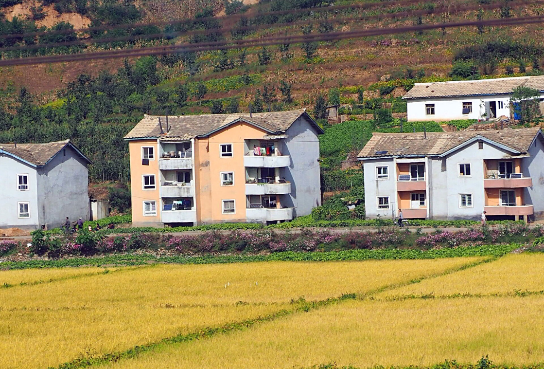 農村自建房屋建設流程細節.png 農村自建房屋建設流程細節.png