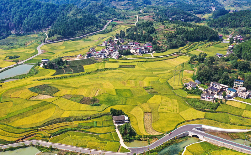 農村自建房怎樣做建筑模板 (7).png 農村自建房怎樣做建筑模板 (7).png